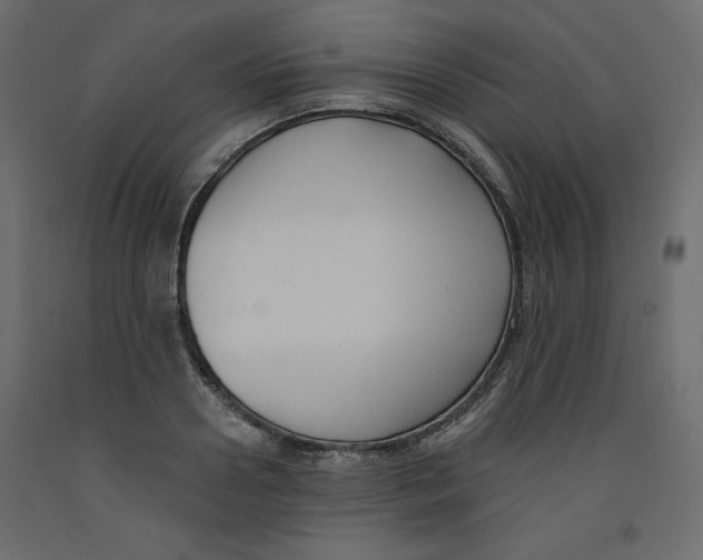 X0000092320938200710121519