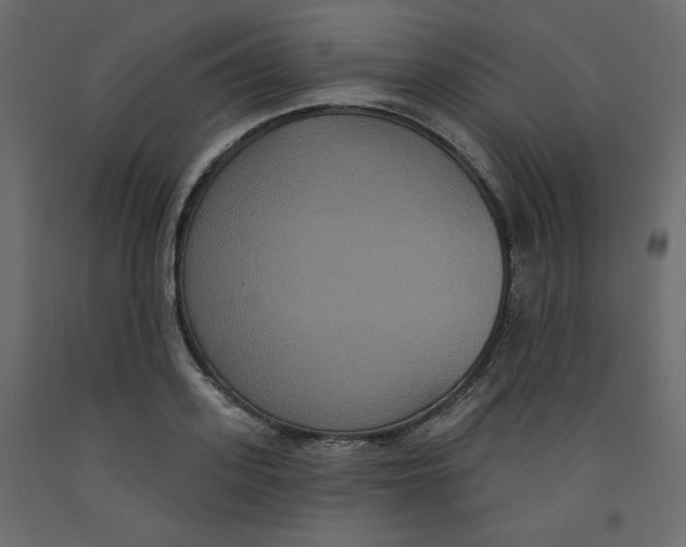 X0000092320939200710121519
