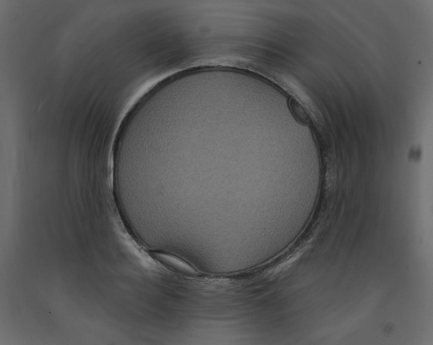 X0000092320940200710121519
