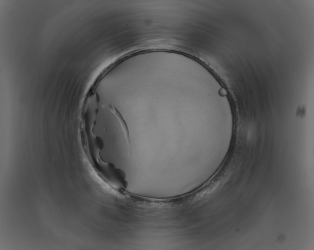 X0000092320941200710121519