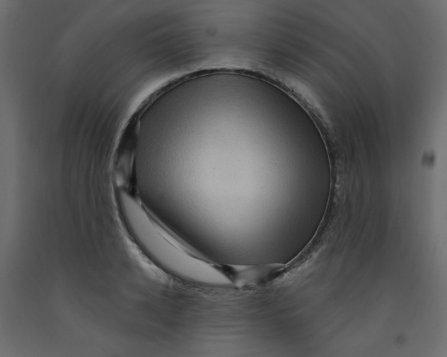 X0000092320942200710121519