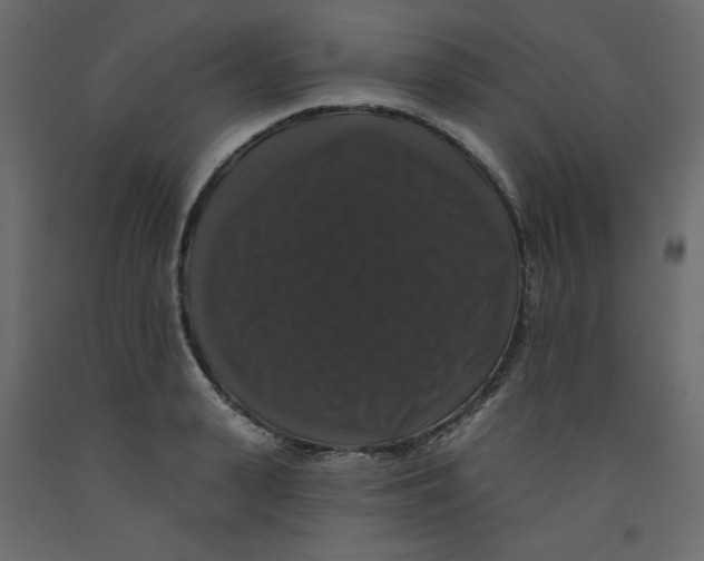 X0000092320943200710121519