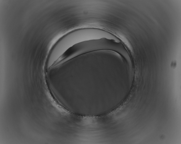 X0000092320944200710121519