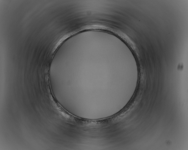 X0000092320945200710121519