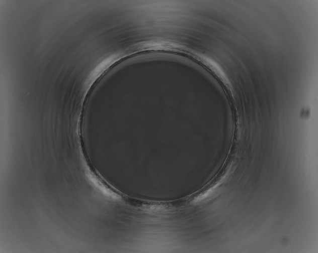 X0000092320946200710121520