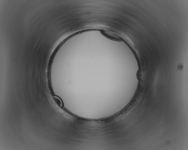 X0000092320947200710121520