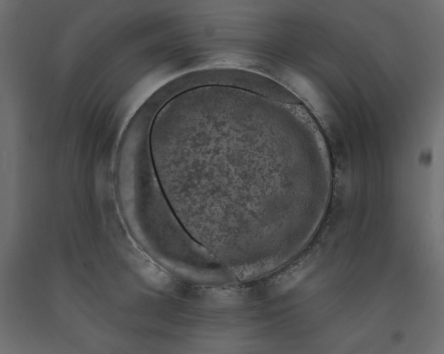 X0000092320948200710121520