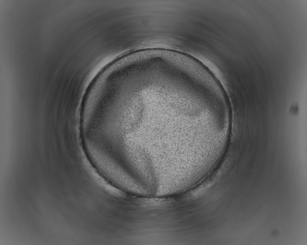 X0000092320949200710121520