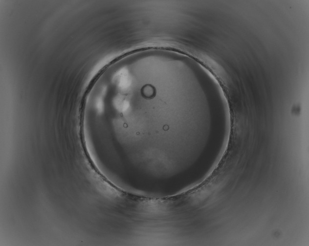 X0000092320950200710121520