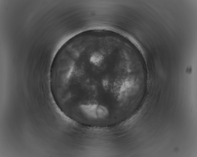 X0000092320951200710121520