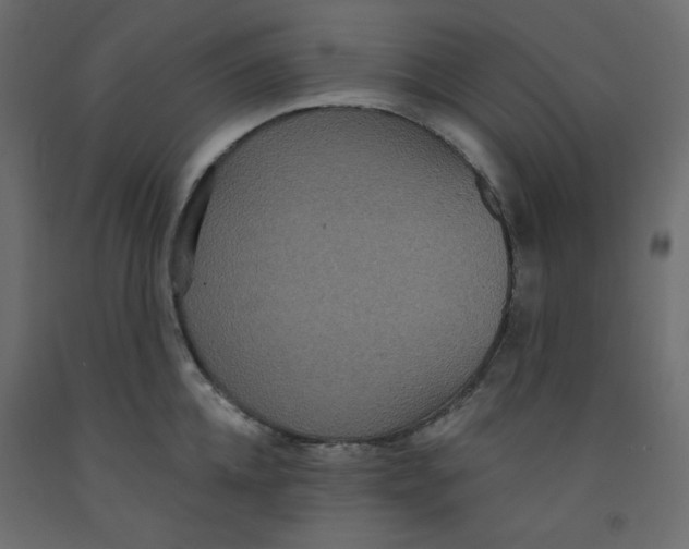 X0000092320952200710121520