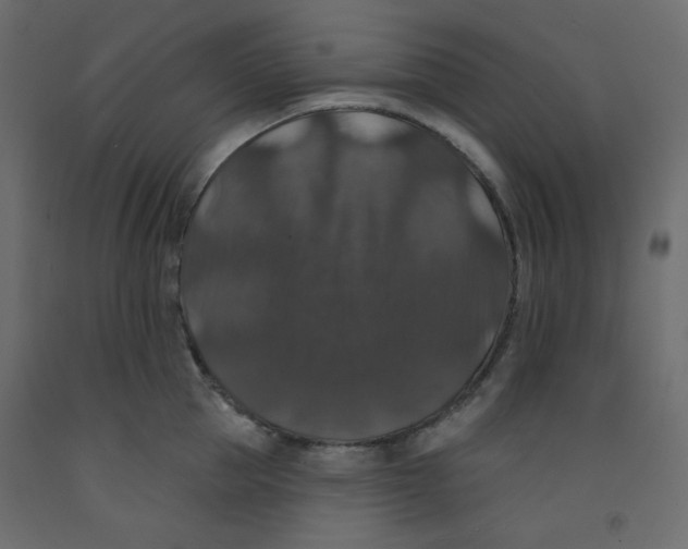 X0000092320953200710121520