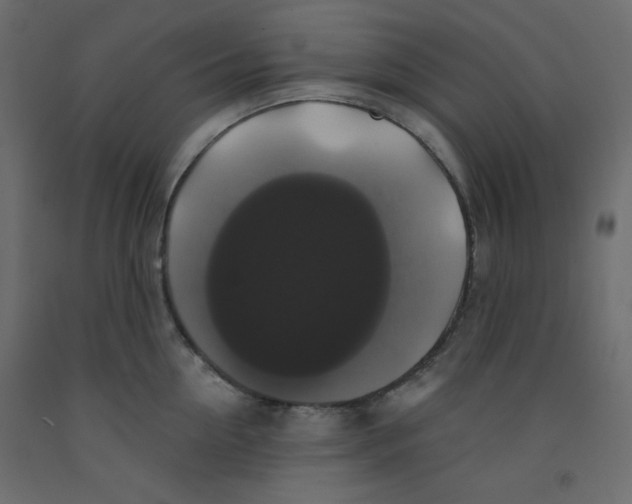 X0000092320954200710121520