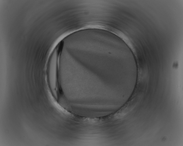 X0000092320955200710121520