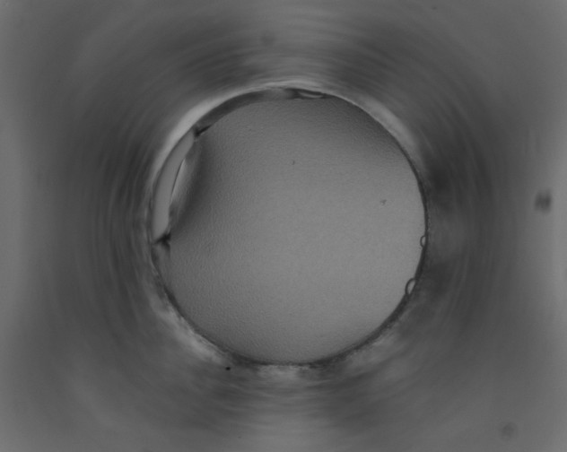 X0000092320956200710121520