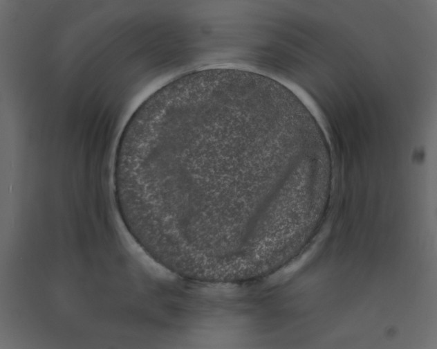 X0000092320957200710121520