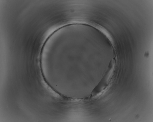 X0000092320958200710121520