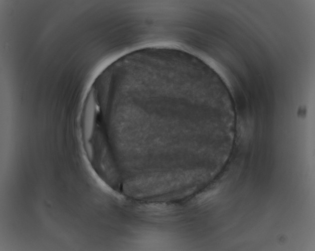 X0000092320959200710121520