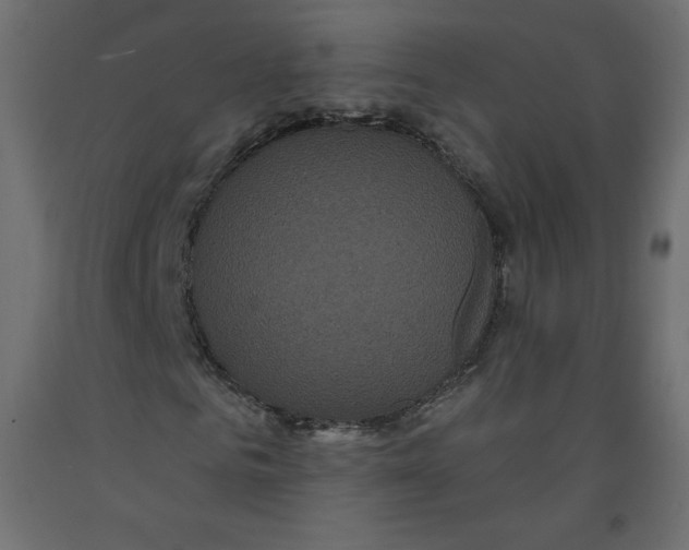 X0000092320961200710121519