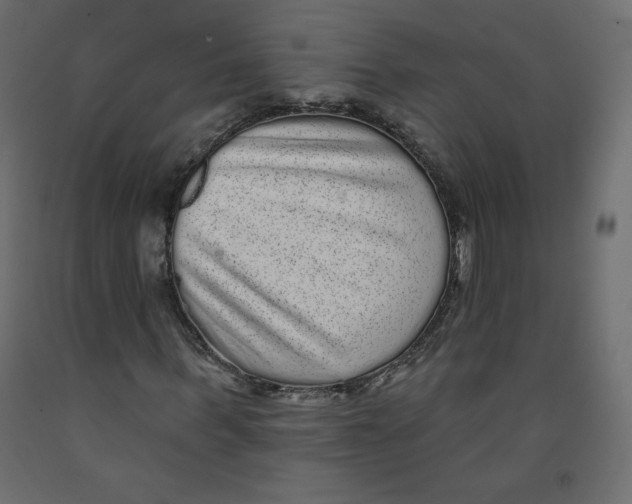 X0000092320963200710121519