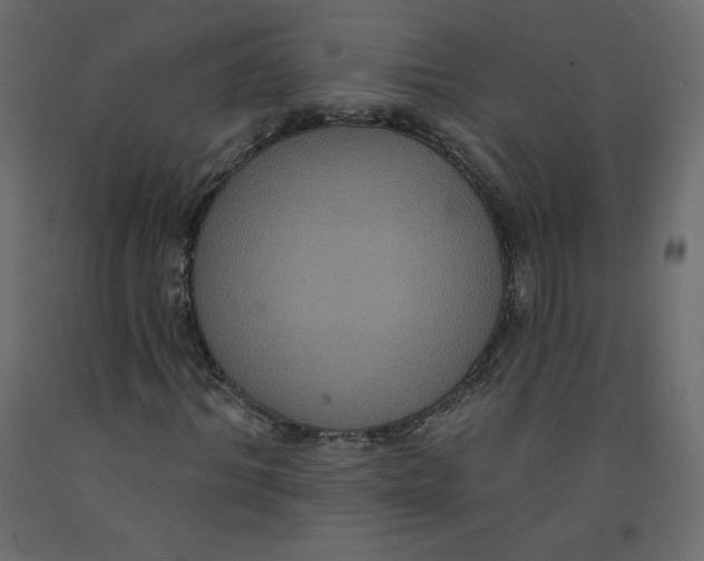 X0000092320964200710121519