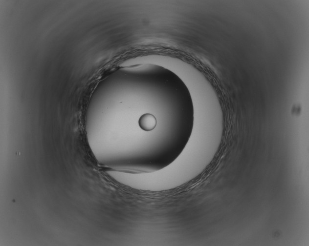 X0000092320965200710121519