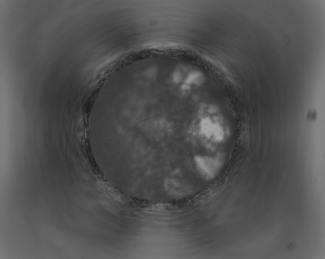 X0000092320966200710121519