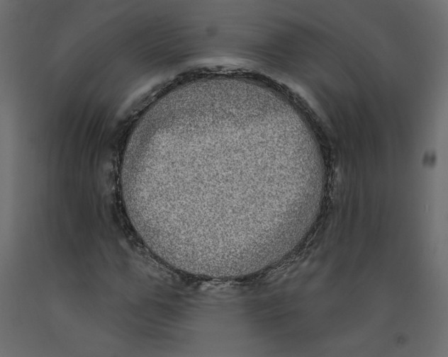 X0000092320967200710121519