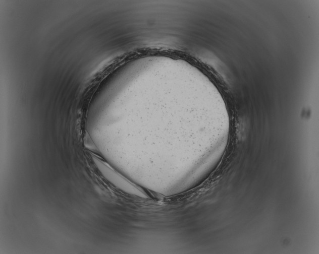 X0000092320968200710121519