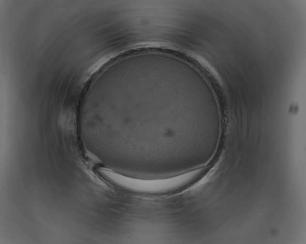 X0000092320969200710121519