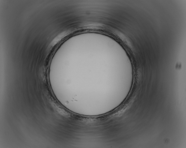 X0000092320970200710121519