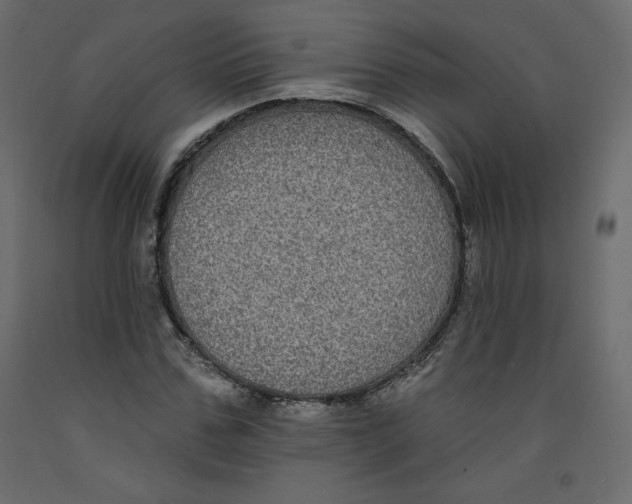 X0000092320971200710121519