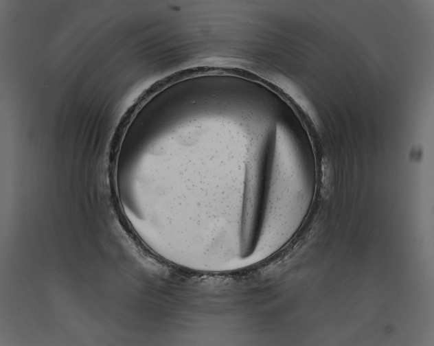 X0000092320972200710121519