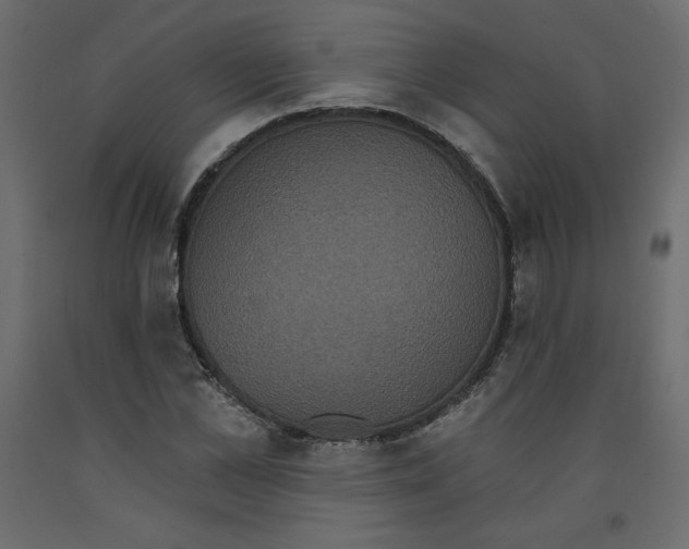 X0000092320973200710121519