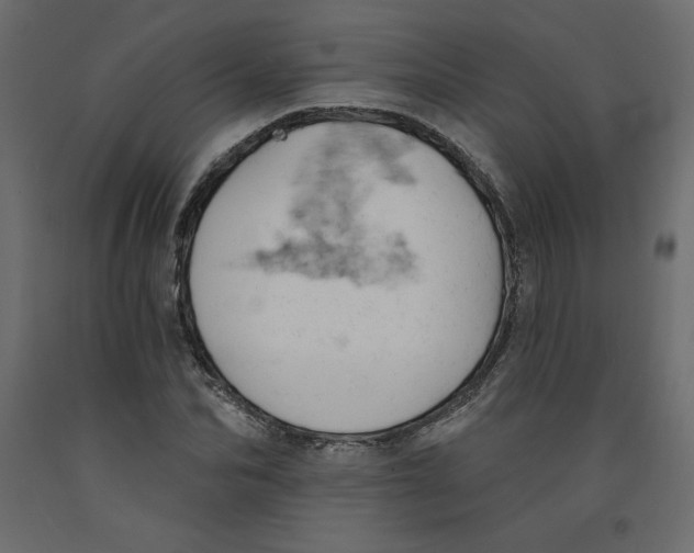 X0000092320974200710121519