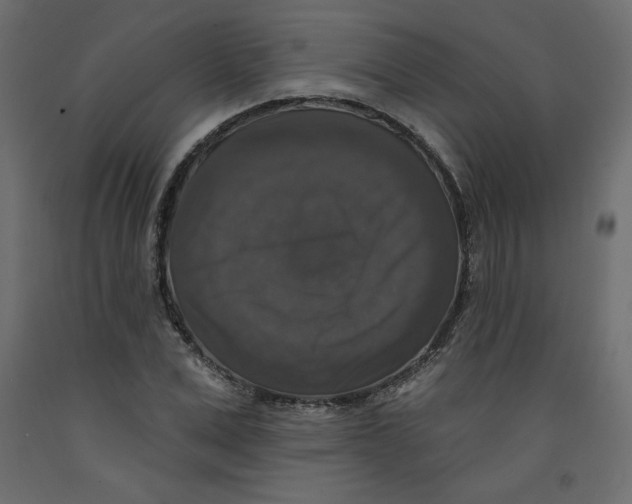 X0000092320975200710121519