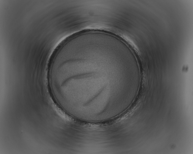 X0000092320976200710121519