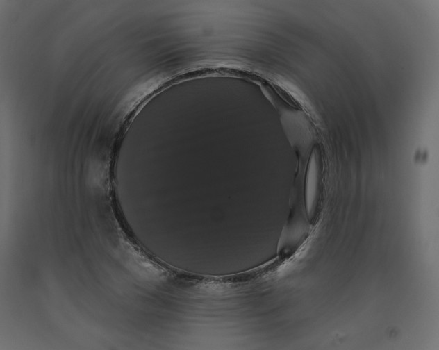 X0000092320977200710121519