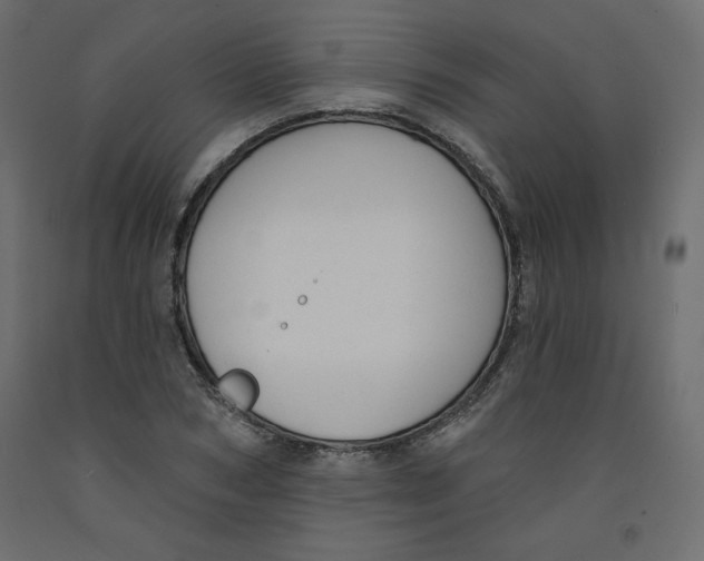 X0000092320978200710121519