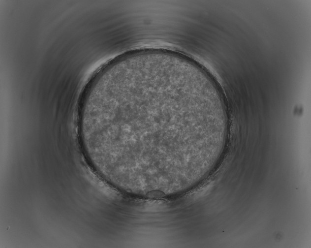 X0000092320979200710121519