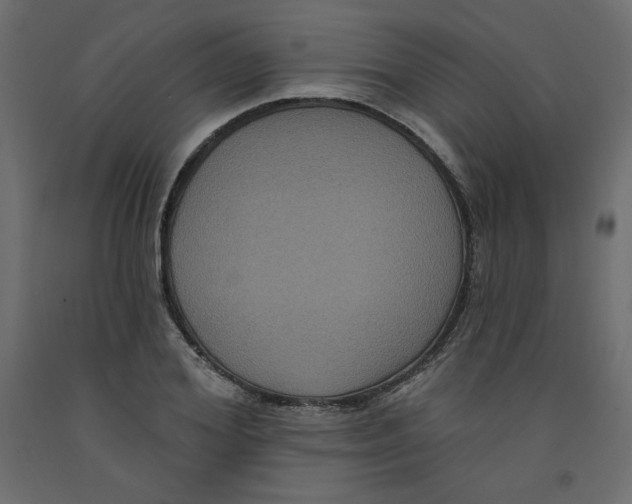 X0000092320980200710121519