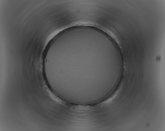 X0000092320981200710121519