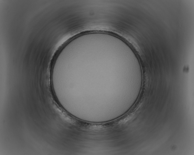 X0000092320982200710121519