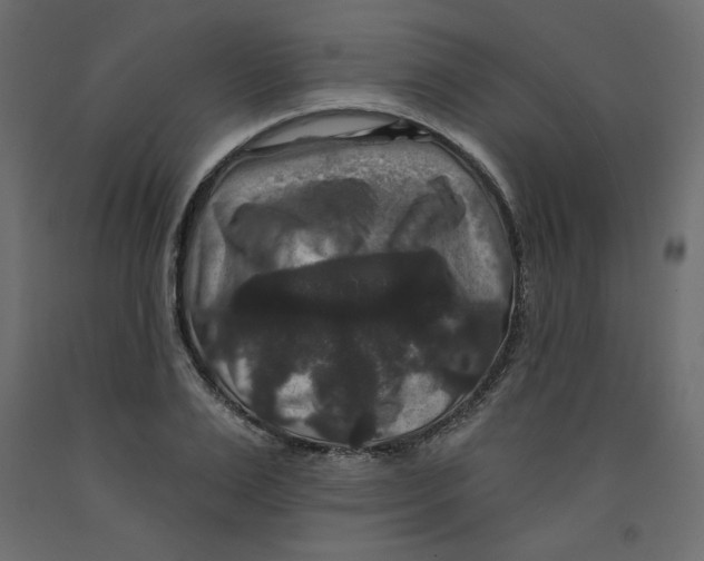 X0000092320983200710121519