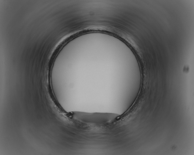 X0000092320984200710121519