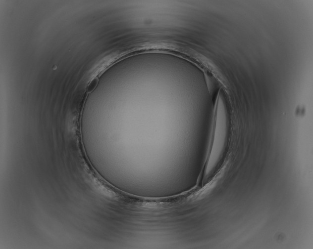 X0000092320985200710121519