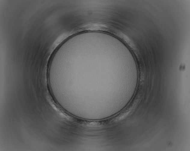 X0000092320986200710121519