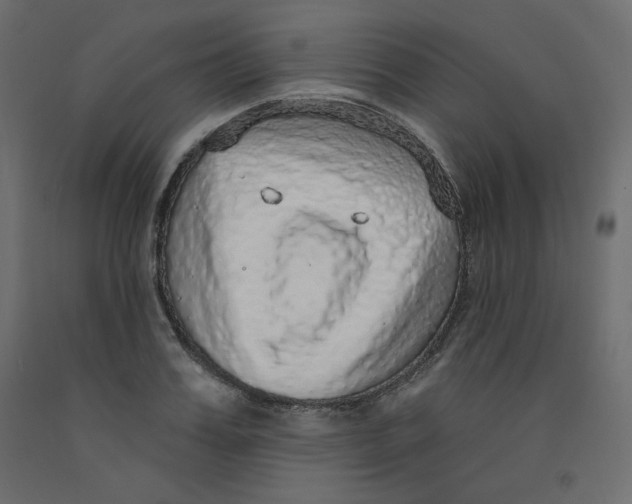 X0000092320987200710121519