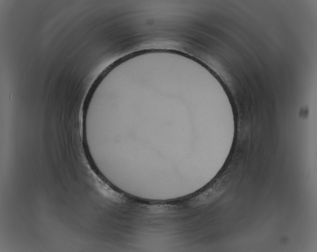 X0000092320988200710121519