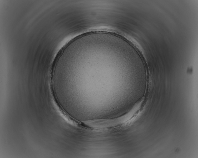 X0000092320989200710121519